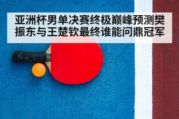 table tennis racket